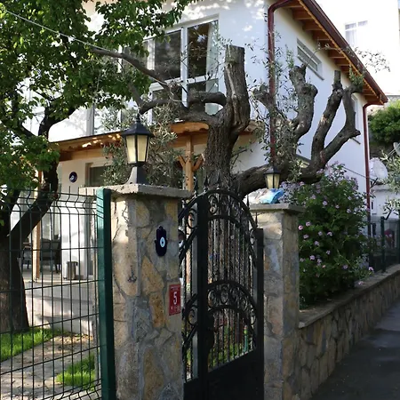Nihalimo'nun Yeri Villa Marmara Adasi